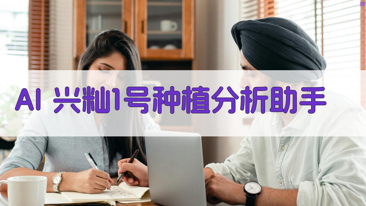 AI兴籼1号分析